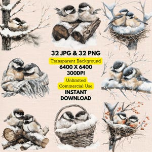 Aquarelle mignon noir mésange hiver neige Clipart PNG usage commercial téléchargement numérique faire-part de mariage carte journal indésirable