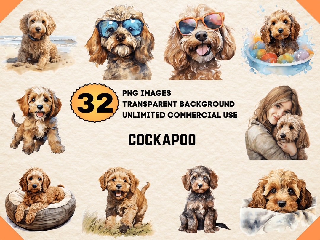Cockapoo Watercolor Clipart PNG JPG Bundle Instant Digital Download ...