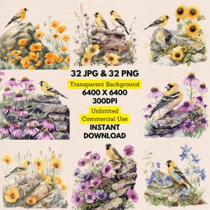 Watercolor American Goldfinch Spinus Tristis Wildflowers Clipart PNG Bundle Digital Download Wedding Invitations Greeting Cards Junk Journal