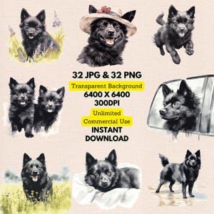 Schipperke Watercolor Clipart PNG JPG Bundle Instant Digital Download, Unlimited Commercial Use, Making Birthday Invitation Card Paper Craft