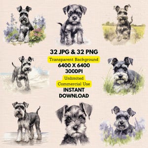 Miniature Schnauzer Watercolor Clipart PNG JPG Bundle Instant Digital Download, Unlimited Commercial Use, Making Invitation Card Paper Craft
