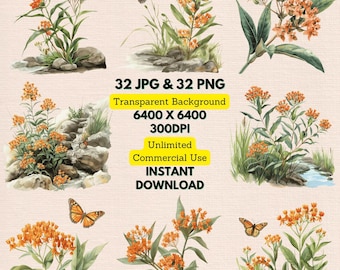 Watercolor Butterfly Milkweed Asclepias Tuberosa Chiggerweed Clipart PNG Download, Unlimited Commercial Use, Wedding Invitations, Journaling