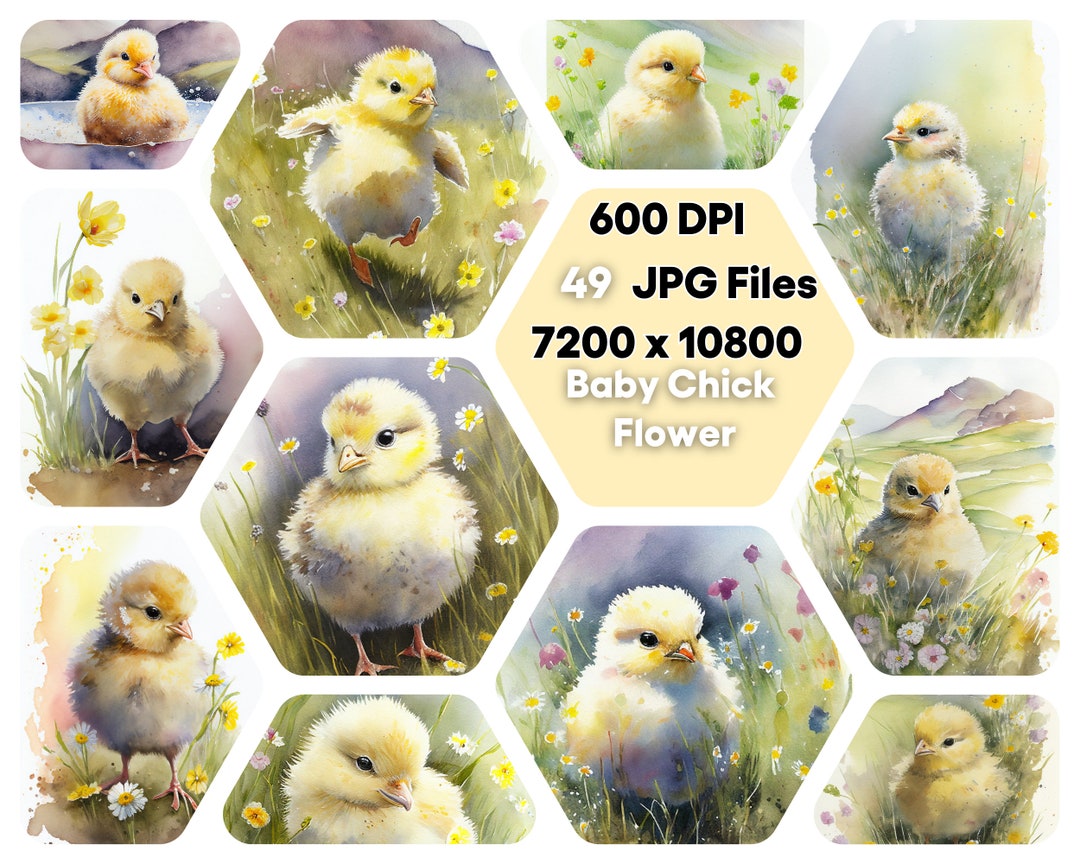 Baby Chick in Flower Watercolor Clipart Bundle, Cute Animal JPG Instant ...