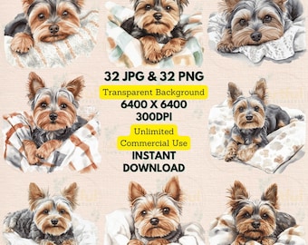 Op de afbeelding: Een set van 32 digitale afbeeldingen met een Yorkshire Terrier in verschillende poses. De hond ligt op een deken of kussen. De afbeeldingen zijn van hoge kwaliteit en hebben een transparante achtergrond. 32 JPG & 32 PNG. Transparante achtergrond. 6400 X 6400. 300DPI. Onbeperkt commercieel gebruik. DIRECT DOWNLOADEN.