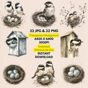 Aquarelle noire mésange coiffée nid oeufs Clipart PNG utilisation commerciale téléchargement numérique faire-part de mariage carte de voeux journal indésirable