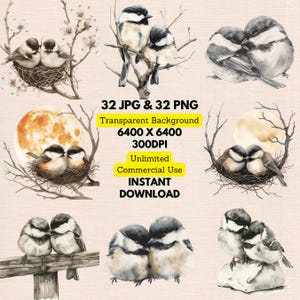 Couple de mésanges noires aquarelles au repos, dormir Clipart PNG en téléchargement numérique Faire-part de mariage carte de voeux Journal