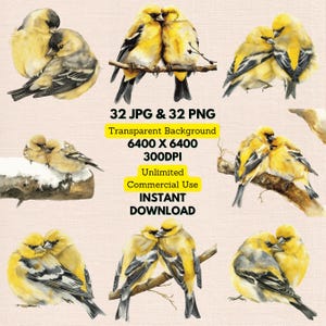 Watercolor American Goldfinch Spinus Tristis Wildflowers Clipart PNG Bundle Digital Download Wedding Invitations Greeting Cards Junk Journal