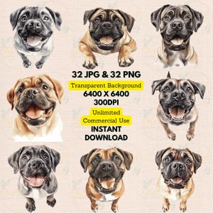 Mastiff portret schattig aquarel clipart PNG JPG bundel maken verjaardag nodigt papier scrapbooking ongewenste Journal Craft afdrukbare kinderkamer muur