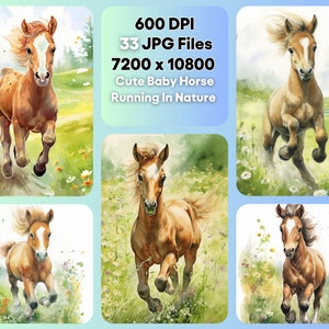 Baby Pferd läuft in der Natur Aquarell Clipart Bundle, süßes Tier JPG, sofortiger digitaler Download, unbegrenzte Verwendung, Geburtstagseinladungskarte
