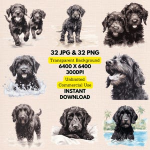Labradoodle noir aquarelle Clipart PNG JPG Bundle téléchargement numérique instantané, usage commercial illimité, faire des cartes d'invitation, créations en papier