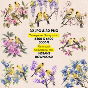 Aquarell Stieglitz Spinus Tristis Wildblumen Clipart PNG Bundle Digital Download Hochzeit Einladungen Grußkarten Junk Journal