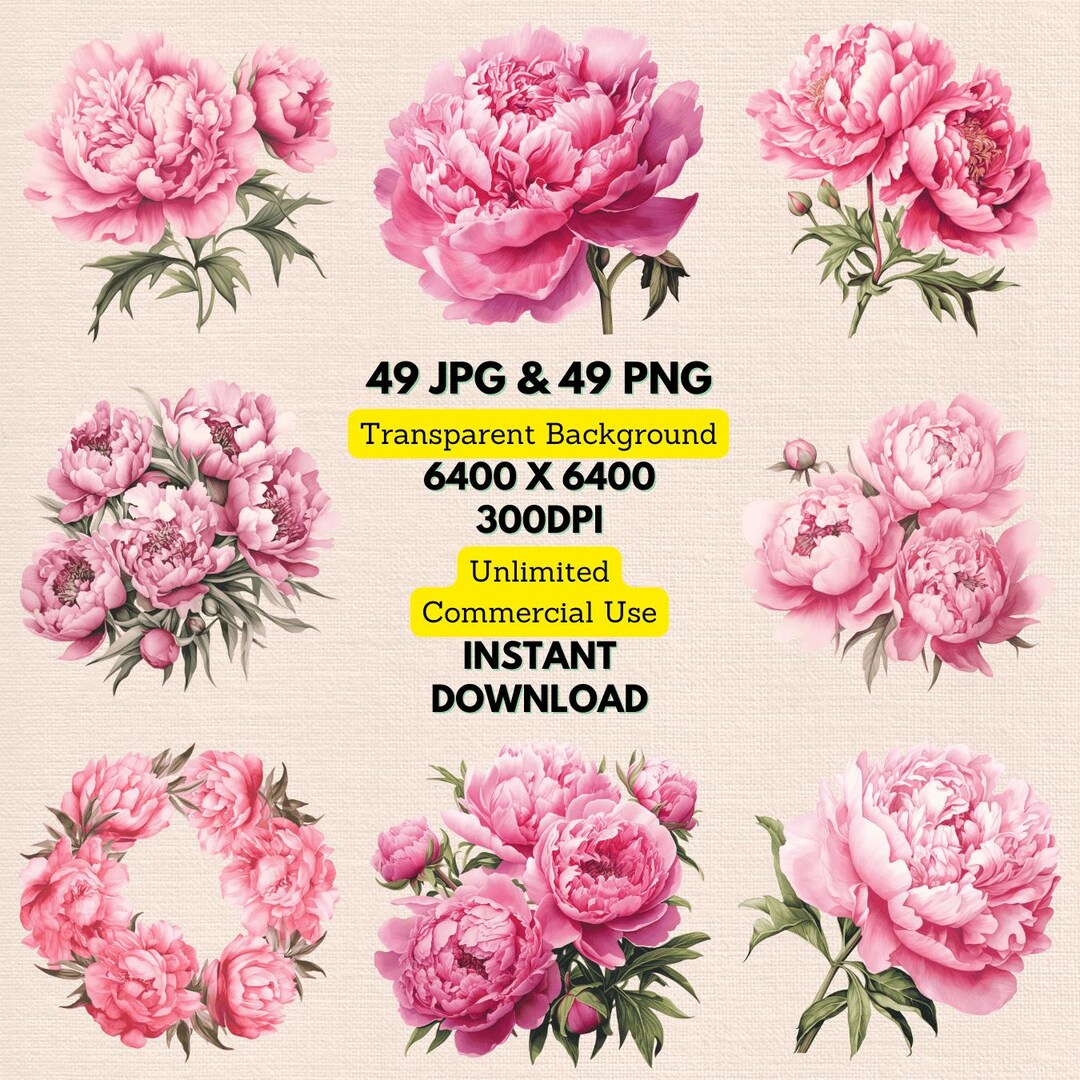 Pink Peony Floral Watercolor Clipart PNG JPG Bundle Instant Digital ...