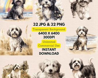 Havanese Watercolor Clipart PNG JPG Bundle Instant Digital Download, Unlimited Commercial Use, Making Birthday Invitation Card, Paper Craft