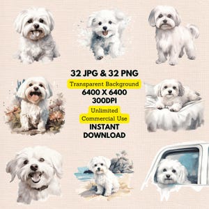 Cute Maltese Watercolor Clipart PNG JPG Bundle Instant Digital Download, Unlimited Commercial Use, Kid Birthday Invitation Card, Paper Craft