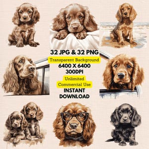 Cocker Spaniel Inglês Aquarela Clipart PNG JPG Pacote Download Digital Instantâneo, Uso Comercial Ilimitado, Convite de Aniversário Papel Artesanal
