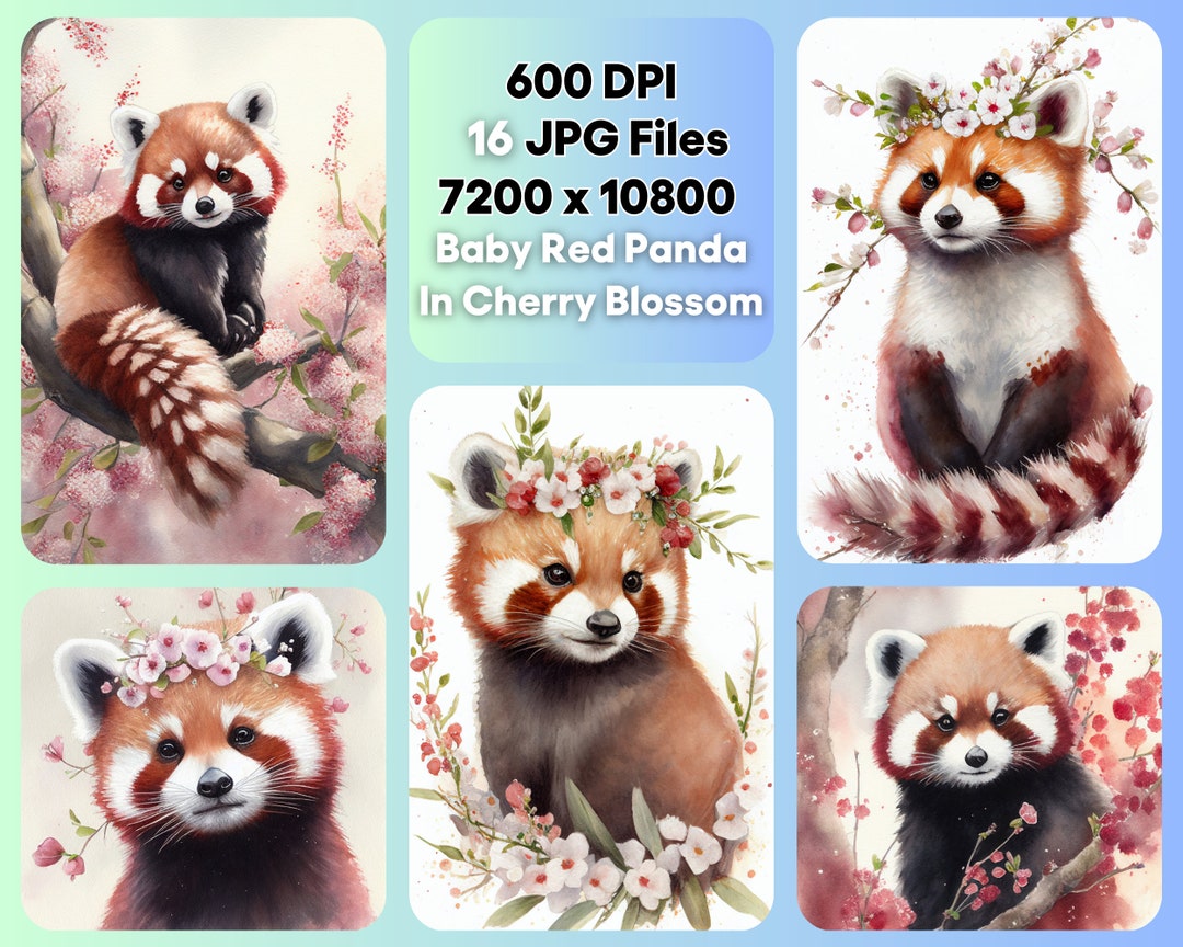 Baby Red Panda Cherry Blossom Watercolor Clipart Bundle, Cute Animal ...