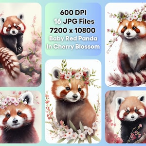 Baby Roter Panda Kirschblüten-Aquarell-Clipart-Bundle, süßes Tier JPG, sofortiger digitaler Download, unbegrenzte Nutzung, Geburtstagseinladungskarte
