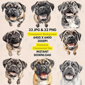 Mastiff portret opzoeken aquarel clipart PNG JPG bundel maken verjaardag uitnodigen papieren scrapbooking dagboek afdrukbare kinderkamer muur decor