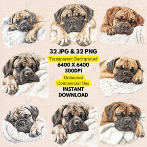 Mastino che dorme coperta acquerello Clipart PNG JPG Bundle Making Birthday Invite Paper Scrapbooking Junk Journal Printable Nursery Wall Art