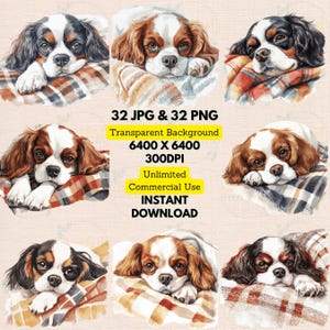Może przedstawiać: Zestaw 32 obrazów cyfrowych przedstawiających psy rasy Cavalier King Charles Spaniel w różnych pozach. Psy są przedstawione leżące na kratkowanym kocu w miękkim, akwarelowym stylu. Obrazy są dostępne w formatach JPG i PNG, z przezroczystymi tłami.