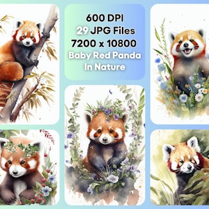 Bebé panda rojo en la naturaleza acuarela clipart paquete, lindo animal JPG, descarga digital instantánea, uso comercial ilimitado, invitación de cumpleaños