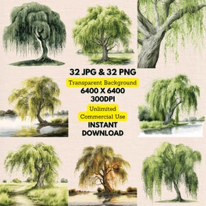 May include: A set of 32 watercolor illustrations of weeping willow trees. The trees are depicted in various poses and with different shades of green. The illustrations are perfect for adding a touch of nature to your designs.