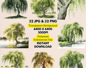 Watercolor Weeping Willow Tree Clipart PNG Instant Download for Birthday Wedding Invitations Card, Printable Wall Art Decor, Junk Journaling