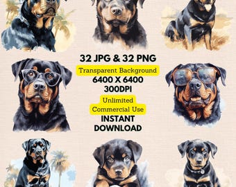 May include: A set of 32 digital images of Rottweilers in various poses, including a puppy, a dog wearing sunglasses, and a dog sitting on a beach. The images are high-resolution and have a transparent background. They are perfect for use in digital projects, such as social media posts, websites, and printed materials.