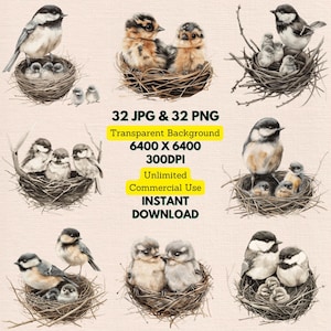 Joli bébé oiseau oiseau mésange à tête noire nid nouveau-nés oisillons Clipart PNG téléchargement numérique faire-part de mariage Journal