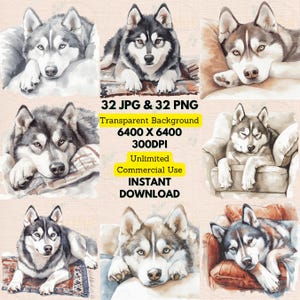 Husky sibérien se reposant canapé tapis aquarelle Clipart PNG JPG Bundle anniversaire invitations fabrication de cartes Scrapbooking Journal chambre d'enfant art mural