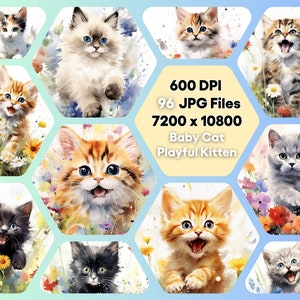 Floral Cat Kitten Clipart JPG Bundle Flowers Cute Playful Happy Feline Illustrations Digital Printable Download Unlimited Commercial Use