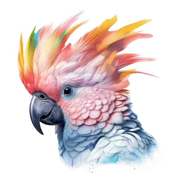 4 Cockatoo Watercolor Cliparts, Watercolour Cockatoo, Cockatoo PNG, Printable Digital Download, Sublimation, Cockatoo clipart