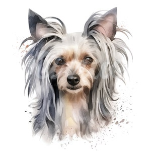 Aquarel Chinese Crested Dog Clipart - 4 hoge kwaliteit JPG&#39;s - Digital Paper Crafting, Digital Planner, Junk Journal - Digitale download