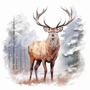 Watercolor Winter Stag Clipart - 4 High Quality JPGs, Junk Journal, Scrapbooks, Craft, Digital Planner, Commercial Use, Digital Download