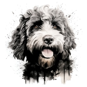 Clipart Labradoodle aquarelle noir et blanc : 4 fichiers JPG Premium, téléchargement numérique instantané pour la fabrication de cartes, le scrapbooking et les travaux manuels en papier