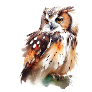 Watercolor Owl Clipart JPEGs, Owl Watercolor, Owl Clipart, Printable Digital Download, Sublimation, Owl clipart
