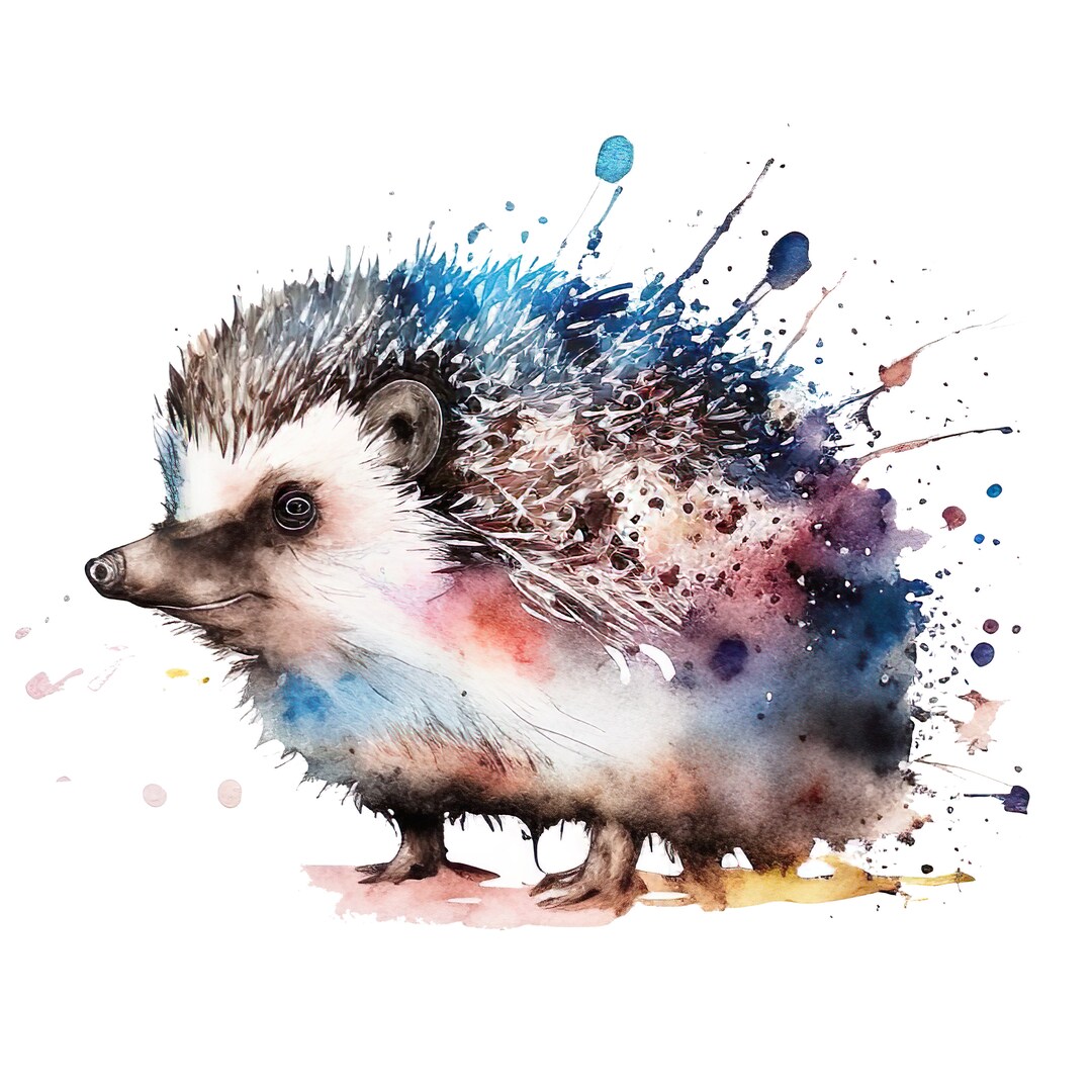 Igel Aquarell, digitale Downloads, Igel Clipart, PNG Igel, Igel