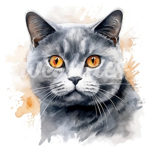 Watercolor British Shorthair Cat Clipart: 4 High-Resolution JPGs for Digital Crafting, Planners, Apparel, Watercolor Style