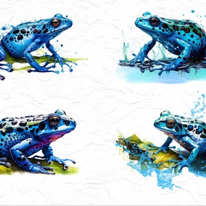 Frog Print, Frog Watercolor, blue dart Frog Clipart PNG, Printable Digital Download, Sublimation