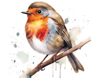 Robin Clipart Collection: 4 Premium JPG Images - Instant Digital Download for Card Making, Mixed Media, and Digital Paper Crafting