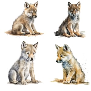 Baby Wolf,Baby Wolf Clipart, Nursery Woodland Nursery decor, Watercolor Woodland Animal, Nursery wall, Baby Animal prints