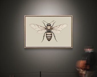 Vintage Bee Illustration: Rustic Farmhouse Entomology Art (Digital Download)