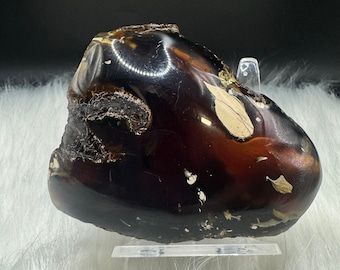 Indonesian Blue Amber Specimen: Partially Polished Fossil Resin, UV Reactive