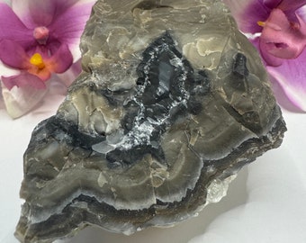 May include: A banded agate with a black and gray pattern. The agate has a smooth, polished surface and is a natural stone.