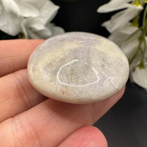 May include: A smooth, oval-shaped stone with a blend of pale purple, cream, and tan hues. The polished surface reflects light, showcasing subtle variations in color and texture. The stone is held in a hand, with white flowers in the background.