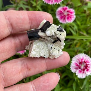 Black Tourmaline Specimen on Matrix, Black Tourmaline Cluster, Schorl Crystals, Black Tourmaline Crystal,  Gifts