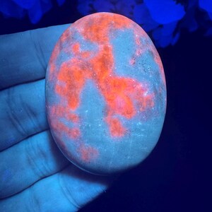 May include: An oval-shaped, glowing rock with a gray base and vibrant orange patterns. The rock is held in a hand, with a dark blue background and blue floral accents. The rock's surface has a unique, textured appearance.