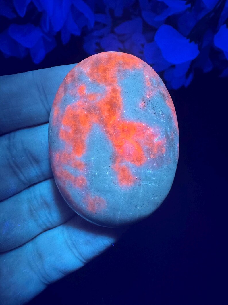 May include: An oval-shaped, glowing rock with a gray base and vibrant orange patterns. The rock is held in a hand, with a dark blue background and blue floral accents. The rock's surface has a unique, textured appearance.
