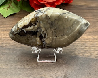 May include: A brown and white agate geode with a unique, eye-shaped form. The geode is displayed on a clear acrylic stand.