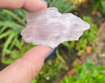 Kunzite Crystal Specimen, Pink Kunzite Specimen, Raw Spodumene Kunzite Crystals, Gifts